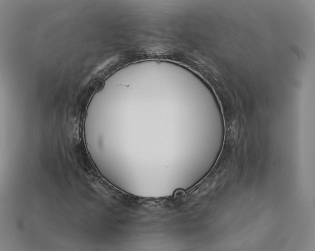 X0000115251205200911131717