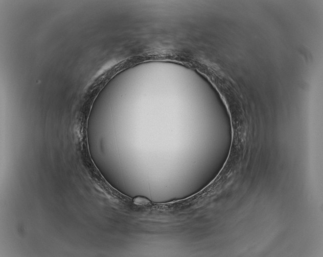 X0000115251206200911131717