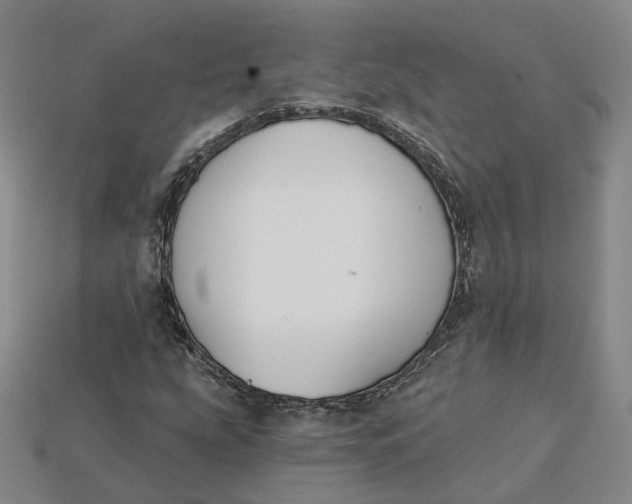 X0000115251207200911131717