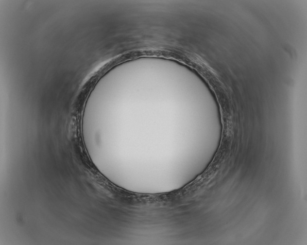 X0000115251208200911131717