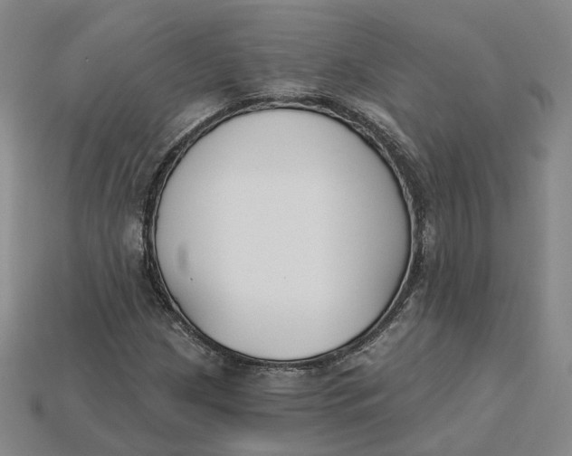 X0000115251209200911131717