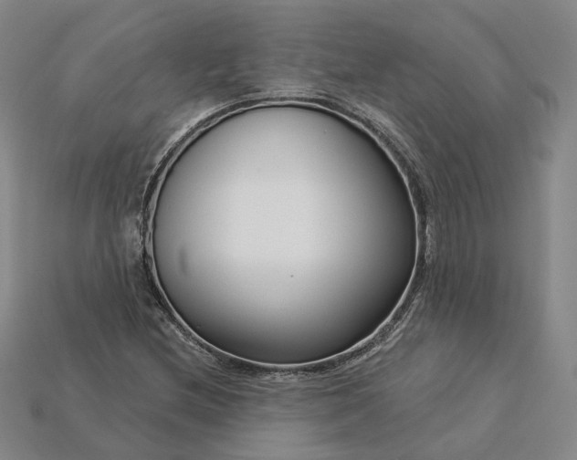 X0000115251212200911131717