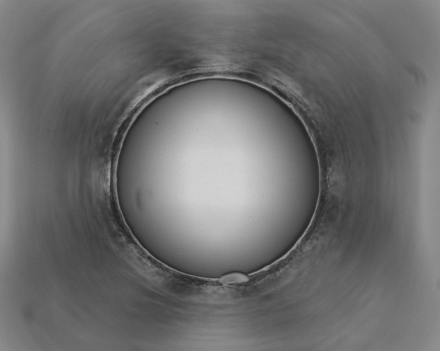 X0000115251220200911131717