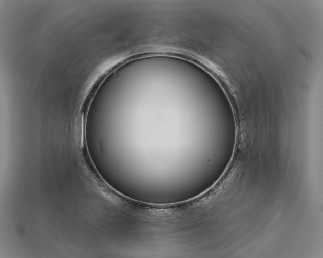 X0000115251223200911131718