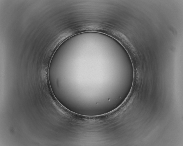 X0000115251225200911131718
