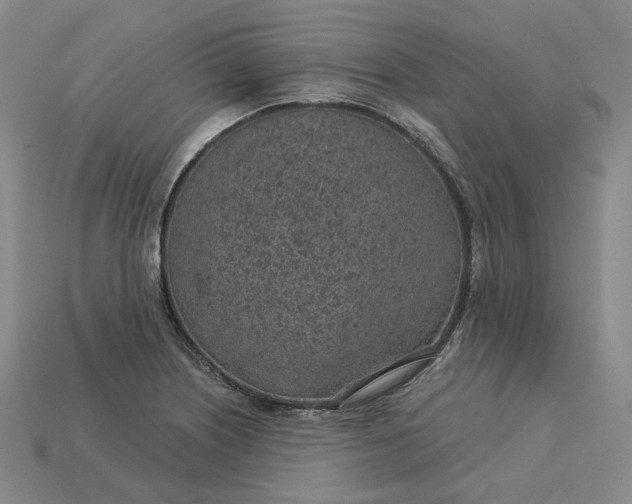 X0000115251226200911131718