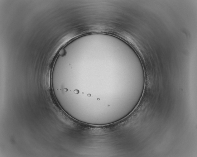 X0000115251227200911131718