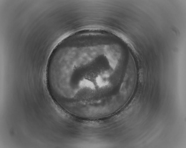 X0000115251229200911131718