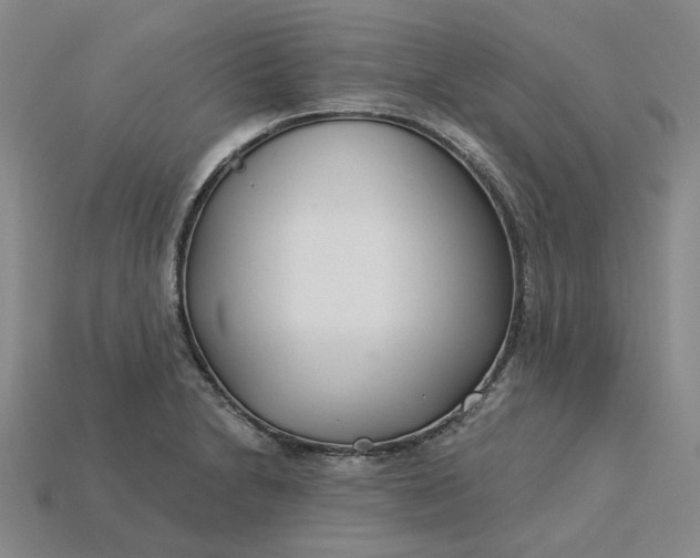 X0000115251230200911131718
