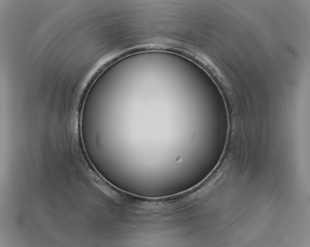 X0000115251232200911131718
