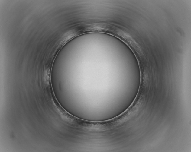 X0000115251233200911131718