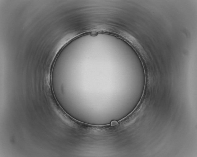 X0000115251234200911131718