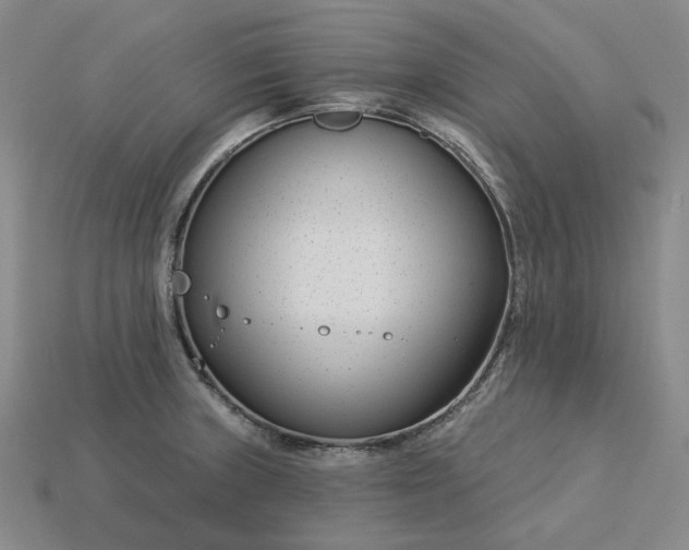 X0000115251235200911131718