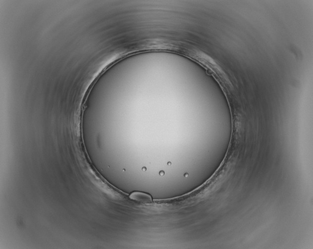 X0000115251236200911131718