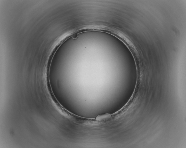 X0000115251237200911131718