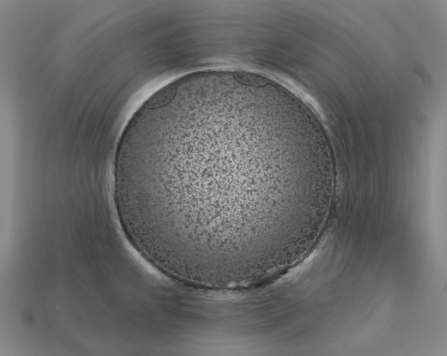 X0000115251239200911131718