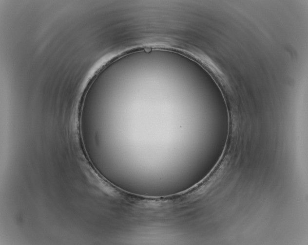 X0000115251240200911131718