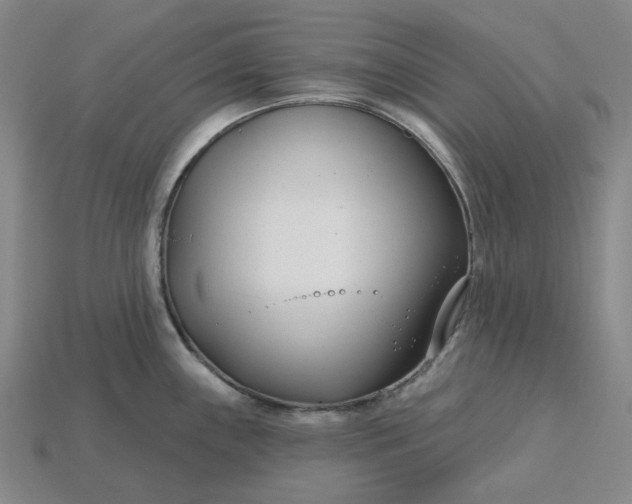 X0000115251243200911131718