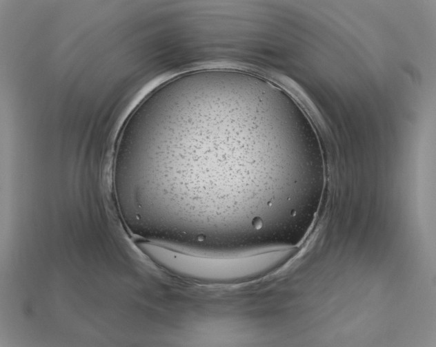 X0000115251244200911131718