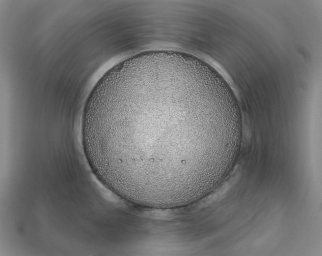 X0000115251245200911131718