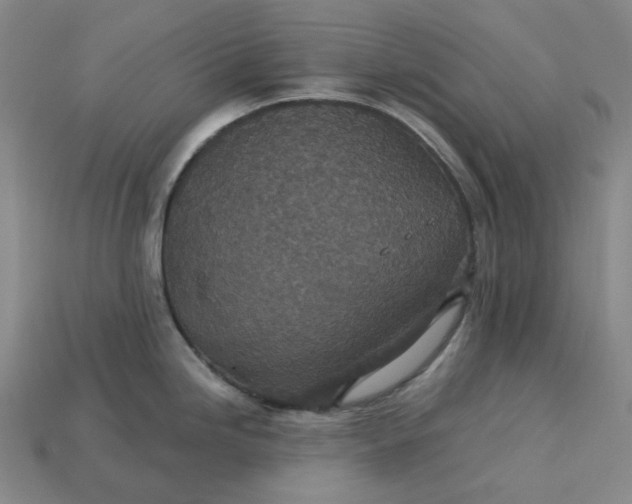 X0000115251246200911131718