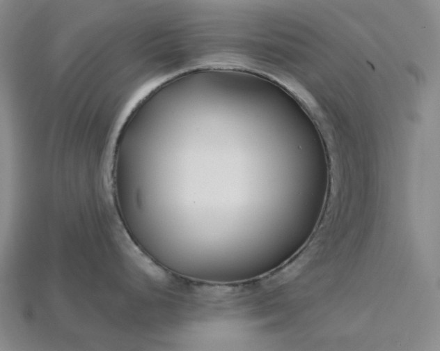 X0000115251248200911131718