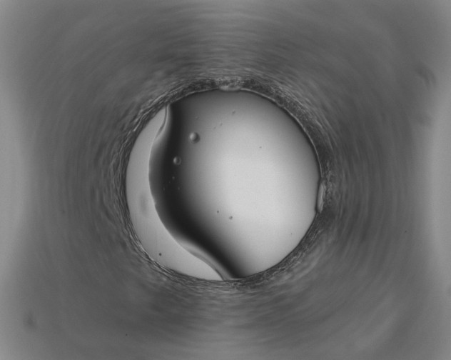 X0000115251249200911131717
