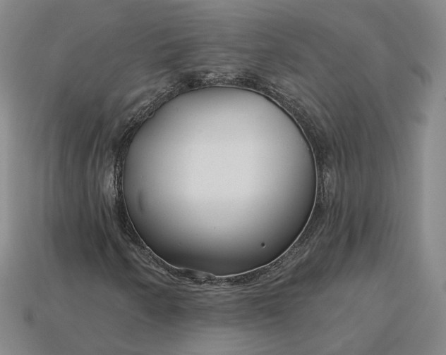 X0000115251250200911131717