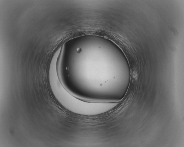 X0000115251252200911131717