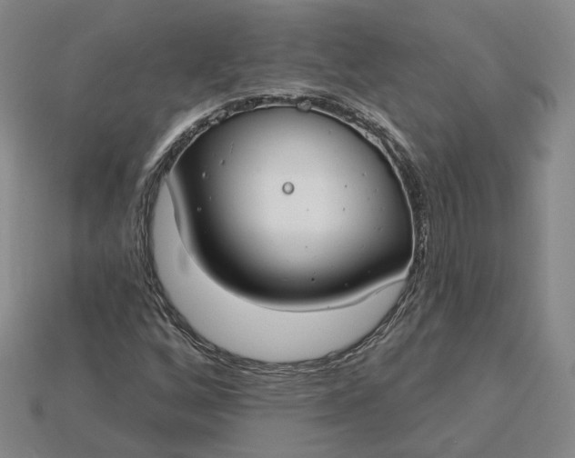 X0000115251256200911131717