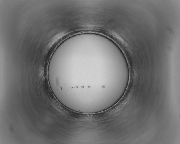 X0000115251259200911131717