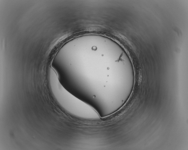 X0000115251261200911131717