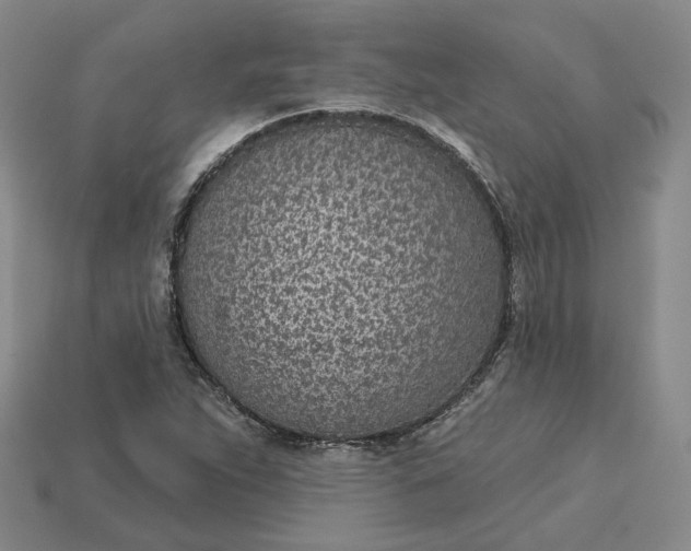 X0000115251263200911131717