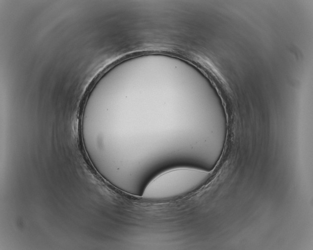 X0000115251268200911131717
