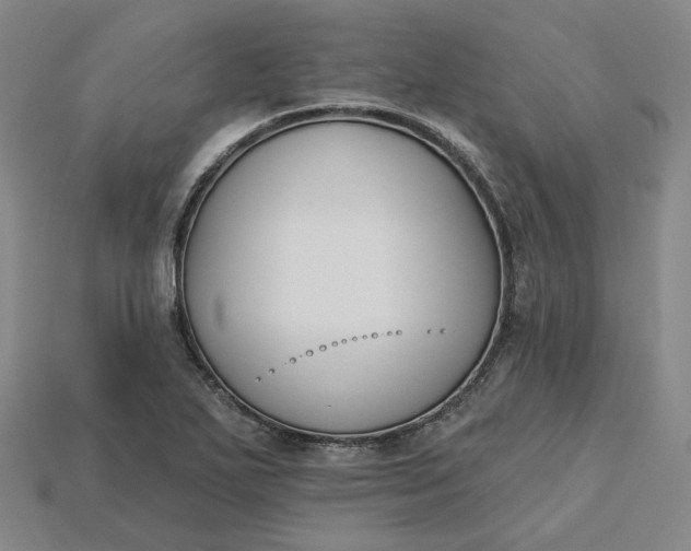 X0000115251271200911131717