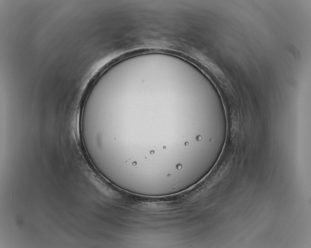 X0000115251272200911131717