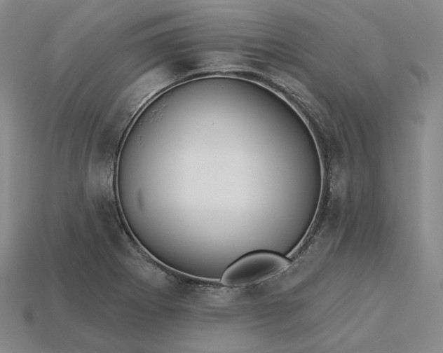 X0000115251273200911131717