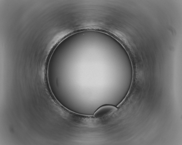 X0000115251277200911131717