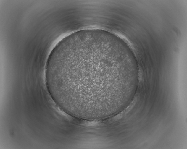 X0000115251278200911131717