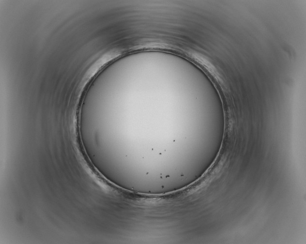X0000115251282200911131717
