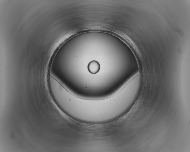 X0000115251285200911131717