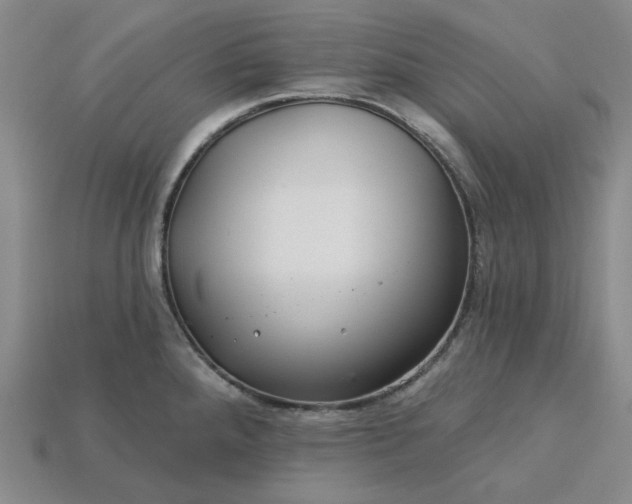 X0000115251288200911131717