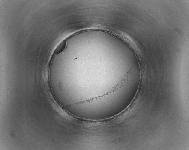 X0000115251292200911131717