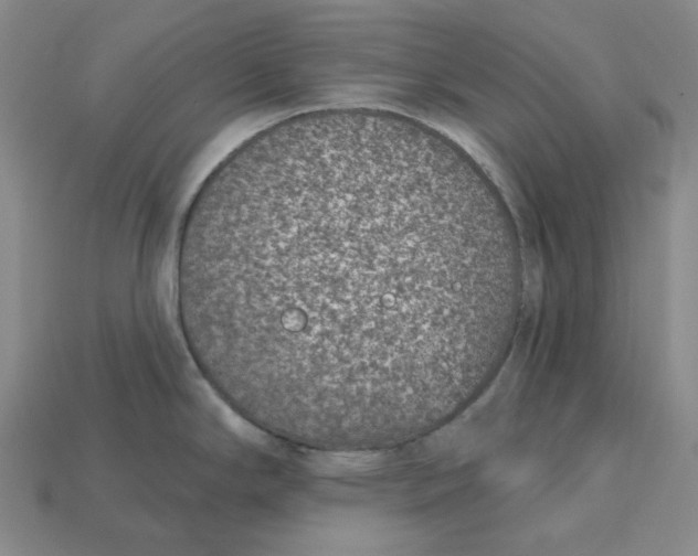 X0000115251294200911131717