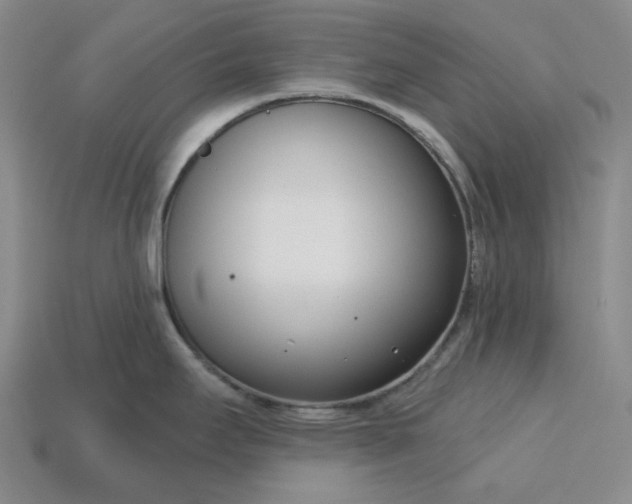 X0000115251295200911131717