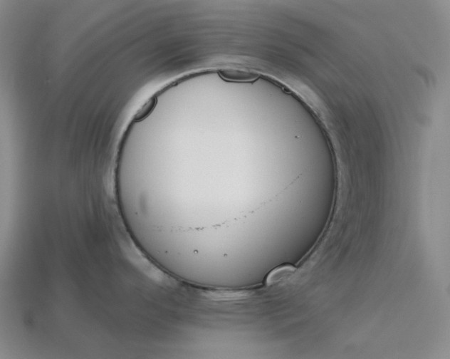 X0000115251296200911131717