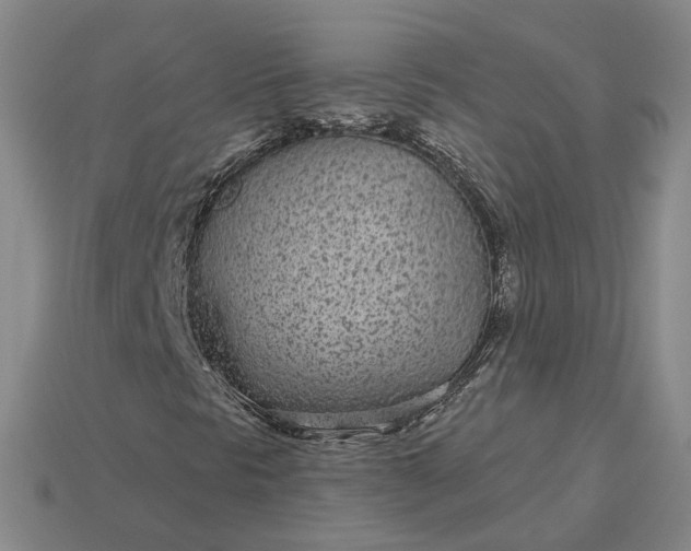 X0000115251297200911131716