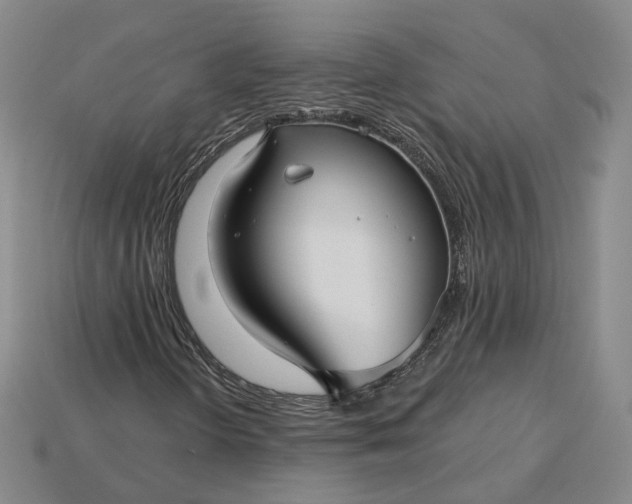 X0000115251298200911131716