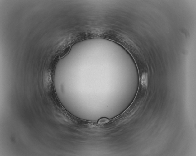 X0000115251299200911131716