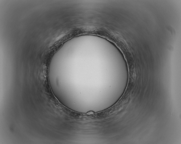 X0000115251301200911131716